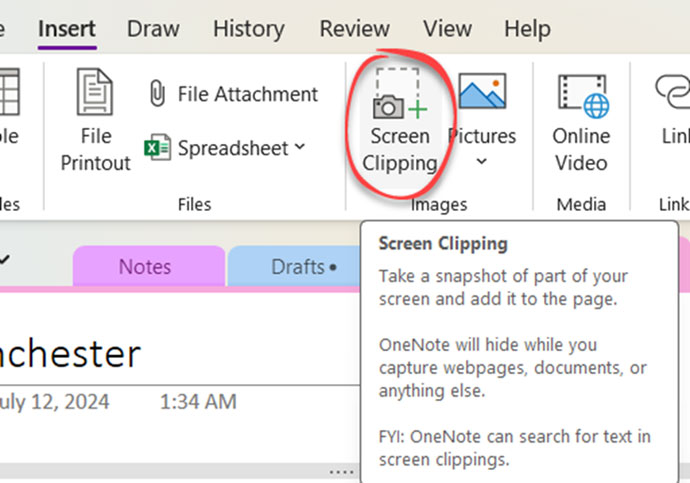 OneNote for Windows/Mac, screen clipping