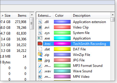 Selecting TechSmith format Selecting TechSmith format