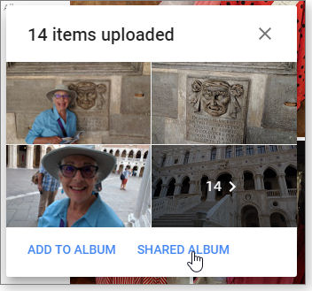 Shared Album Shared Album